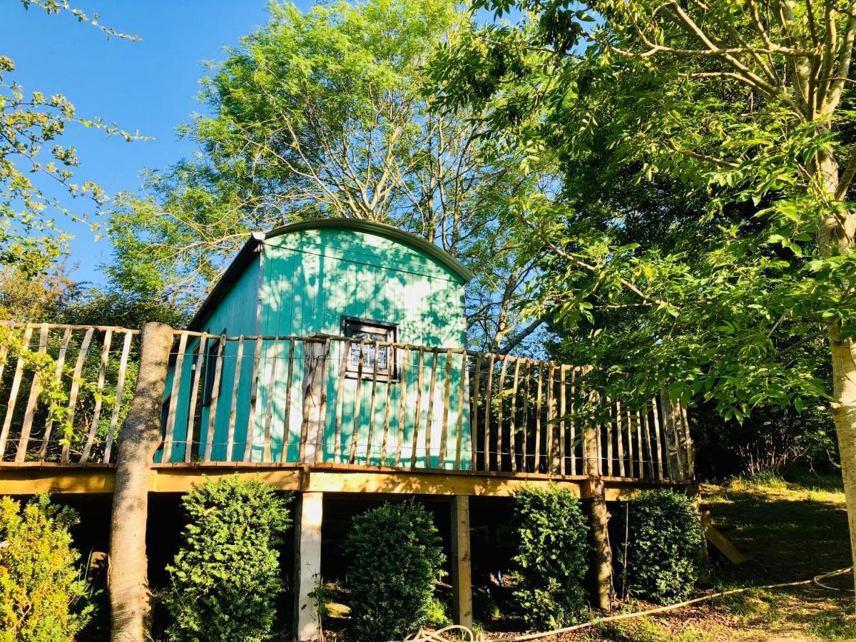 Lapin Cottage Long Bredy Exterior photo