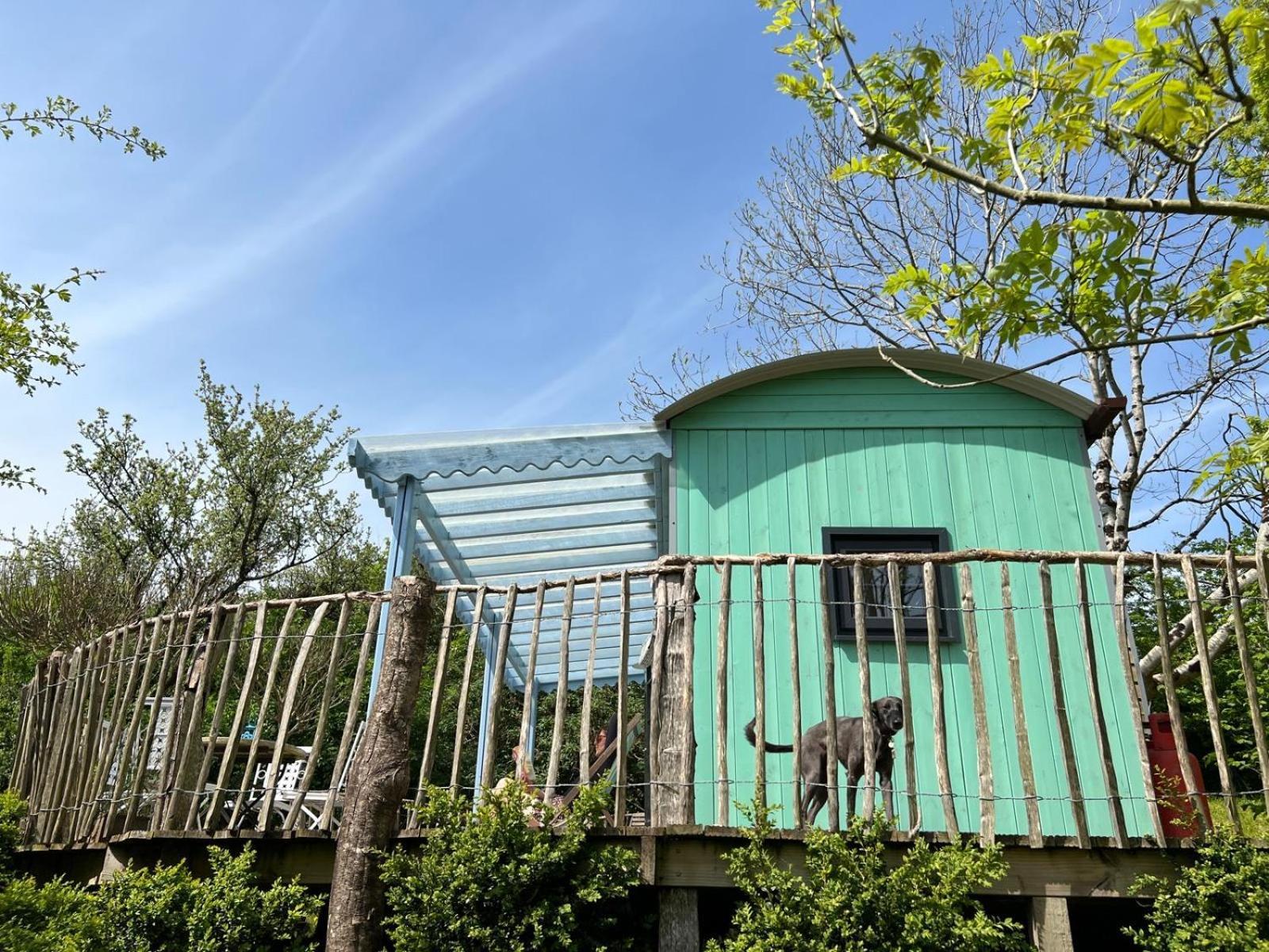 Lapin Cottage Long Bredy Exterior photo